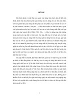 Nghiên cứu tổng hợp một số vật liệu mới trên cơ sở Nano ZnO ứng dụng cho quá trình xử lý sâu các khí chứa lưu huỳnh