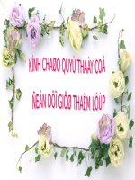 Luyện tập về tính diện tích (tiếp theo)
