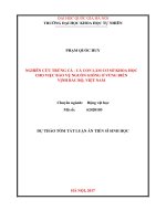 NGHIÊN cứu TRỨNG cá   cá CON làm cơ sở KHOA học CHO VIỆC bảo vệ NGUỒN GIỐNG ở VÙNG BIỂN VỊNH bắc bộ, VIỆT NAM 