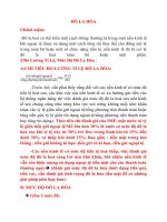 Giải pháp khắc phục hiện tượng đô la hóa ở việt nam hiện nay 