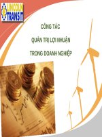 công tác quản trị lợi nhuận trong doanh nghiệp 