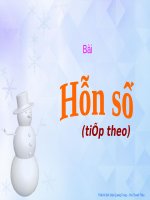 Hỗn số (tiếp theo)