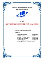 QUY TRÌNH SẢN XUẤT PHÔ MAI MỀM
