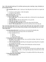 ôn tập công nghệ phần mềm nâng cao 