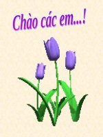 Chia một số thập phân cho một số thập phân