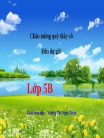 Giải toán về tỉ số phần trăm (tiếp theo)