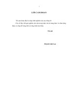 Nghiên cứu ảnh hưởng của nhân tố gắn kết (involvement) với sản phẩm đến sự trung thành thương