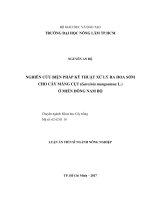 Nghiên cứu biện pháp kỹ thuật xử lý ra hoa sớm cho cây măng cụt (Garcinia mangostana L.) ở miêng Đông Nam Bộ