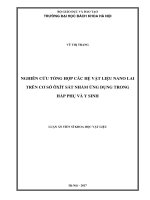 Nghiên cứu tổng hợp các hệ vật liệu nano lai trên cơ sở ôxít sắt nhằm ứng dụng trong hấp phụ và y sinh (LA tiến sĩ)