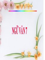 Bài 25. Dùng cụm chủ - vị để mở rộng câu