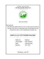 Tình hình mắc bệnh viêm tử cung của đàn lợn nái sinh sản tại trại lợn công ty TNHH minh châu   thành phố hạ long   tỉnh quảng ninh và thử nghiệm phác đồ điều trị 