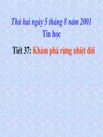 Chương IV. Bài 2. Khám phá rừng nhiệt đới