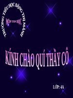 Chương V. Bài 6. Trình bày chữ đậm, nghiêng