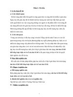 skkn một số biện pháp nhằm giúp học sinh yếu ở lớp 4 giải được bài toán dạng: tìm hai số khi biết tổng hoặc hiệu và tí số của hai số đó