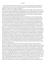 văn 11hay bài văn mẫu 11