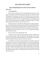 SKKN dạy giải toán có lời văn ở lớp 1