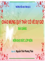 Bài 14. Bảo vệ môi trường