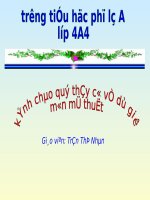 Bài 9. Vẽ đơn giản hoa, lá