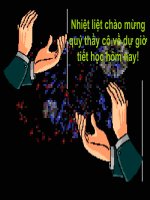 Chương IV. Bài 2. Khám phá rừng nhiệt đới