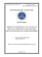NGHIÊN CỨU ẢNH HƯỞNG CỦA CÁC TẠP CHẤT VÀ MỘT SỐ YẾU TỐ ĐẾN CHẤT LƯỢNG NIKEN ĐIỆN PHÂN VỚI NGUỒN BỔ SUNG CACBONAT BAZO NIKEN
