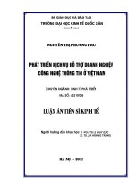 Phát triển dịch vụ hỗ trợ doanh nghiệp công nghệ thông tin ở việt nam 