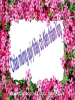 Tuần 16. Chữ hoa: O