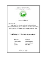 Thực hiện quy trình chăm sóc nuôi dưỡng và phòng trị bệnh cho lợn nái sinh sản tại công ty cổ phần chăn nuôi CP việt nam, xã hương lung   huyện cẩm khê   tỉnh phú thọ 