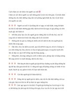 Cách chăm sóc sức khỏe cho người cao tuổi