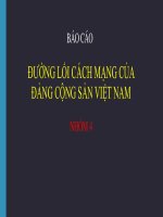 PHÂN TÍCH sự vận DỤNG SÁNG tạo CHỦ NGHĨA mác LÊNIN của NGUYỄN ái QUỐC TRONG CƯƠNG LĨNH CHÍNH TRỊ dầu TIÊN của ĐẢNG