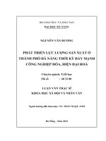 Phát triển lực lượng sản xuất ở thành phố Đà Nẵng thời kỳ đẩy mạnh công nghiệp hoá, hiện đại hoá