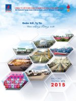 Báo cáo thường niên :: PV GAS SOUTH JSC