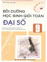 Bồi Dưỡng Học Sinh Giỏi Toán Đại Số 9  Trần Thị Vân Anh
