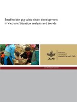 Smallholder pig value chain development in Vietnam: Situation analysis and trends