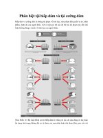 phan biet toi hiep dam va toi cuong dam