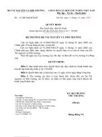 Quyết định số 03 2007 QĐ-BTNMT: Ban hành Quy định kỹ thuật thành lập bản đồ địa hình đáy biển tỷ lệ 1: 50 000