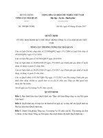 quyet dinh 188 qd tchq ve quy che hoat dong cong vu cua hai quan viet nam