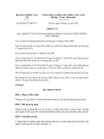 Thông tư quy định về vận  đường thủy nội địa số 80 2014 TT-BGTVT - Thông tư quy định về vận  hành khách, hành lý trên đường thủy nội địa van tai duong thuy