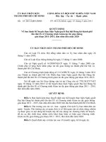 Quyết định về ban hành kế hoạch thực hiện Nghị quyết Đại hội Đảng bộ thành phố lần thứ IX về chương trình giảm ùn tắc giao thông