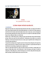 suy niệm về ngày lễ Đức Mẹ Mân Côi