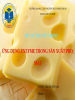 ứng dụng enzyme trong sản xuất pho mai 
