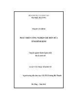 Phát triển công nghiệp chế biến dừa Tỉnh Bình Định