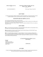 Quyết định 4381 2001 QĐ-BGTVT - Quy định cấp đăng ký, biển số, kiểm tra an toàn kỹ thuật và bảo vệ môi trường xe máy chuyên dùng có tham gia giao thông đường bộ