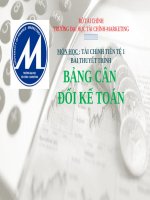 tiểu luận bảng cân đối kế toán 