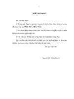 Phân tích rủi ro tài chính tại công ty cổ phần Viglacera Thăng Long