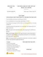 quyet dinh 08 2017 qd ktnn ve quy che su dung cong tac vien kiem toan nha nuoc 1