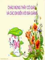 Bài 22. Thành phố Cần Thơ