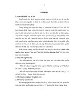 Phát triển nguồn nhân lực tại công ty cổ phần du lịch Sài Gòn - Quảng Bình