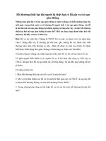 boi thuong thiet hai khi nguoi bi thiet hai co loi gay ra tai nan giao thong