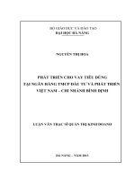 Phát triển cho vay tiêu dùng tại Ngân hàng TMCP đầu tư & phát triển VN - Chi nhánh Bình Định.