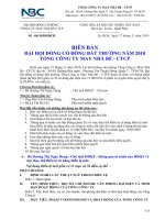 Bien ban Dai hoi dong co dong bat thuong 27 11 2010